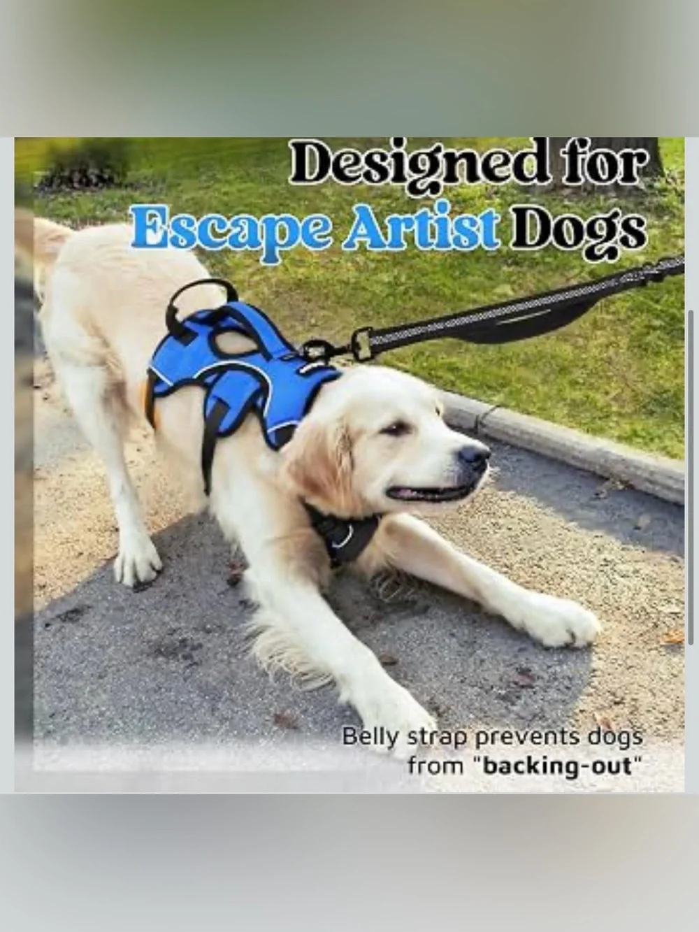 Rabbitgoo Escape Proof Dog Harness, Soft Padded Full Body Pet Harness 2380/dc-1